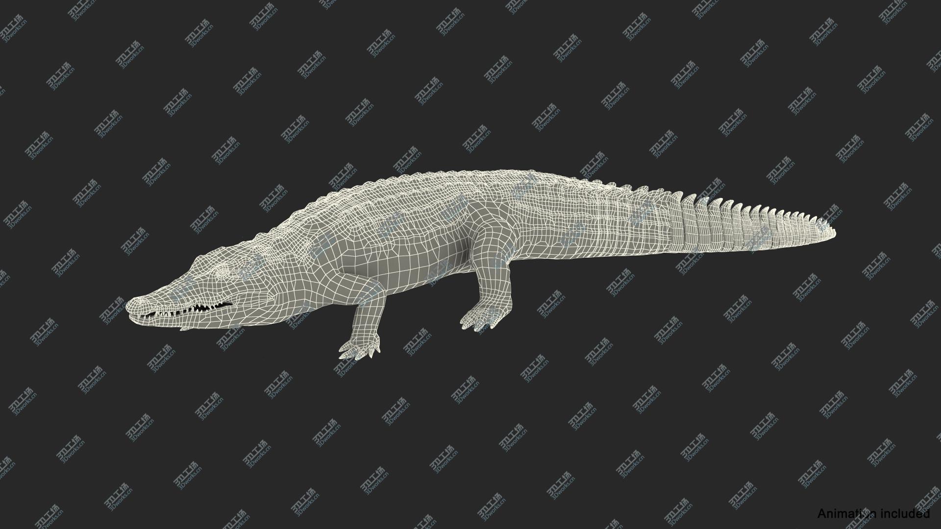 images/goods_img/2021040231/Animated Crocodile Walking Rigged 3D model/5.jpg